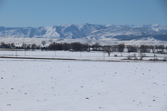 Enlarge photo 13