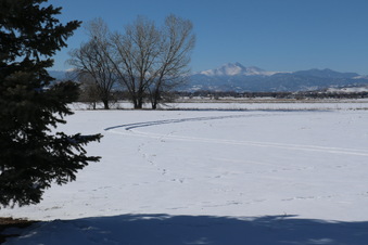 Enlarge photo 16