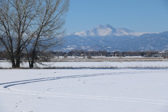 Enlarge photo 17