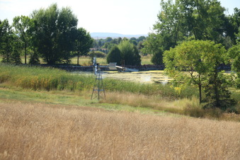 Enlarge photo 9