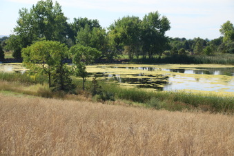 Enlarge photo 11