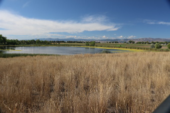 Enlarge photo 13