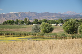 Enlarge photo 15