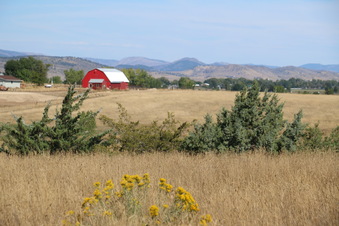 Enlarge photo 19