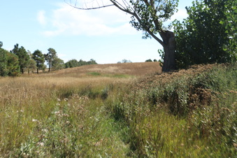 Enlarge photo 21