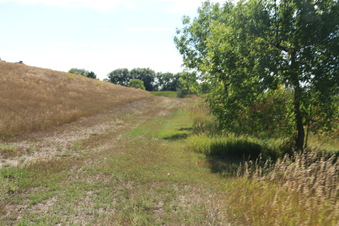 Enlarge photo 23