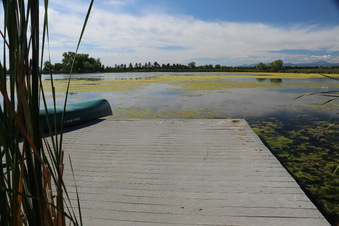Enlarge photo 28