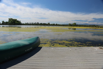 Enlarge photo 29