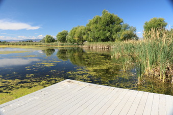Enlarge photo 33