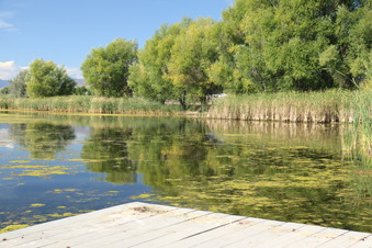 Enlarge photo 34