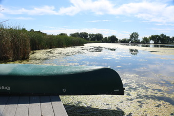 Enlarge photo 32