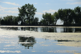 Enlarge photo 35