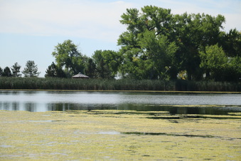 Enlarge photo 36