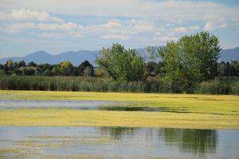 Enlarge photo 37