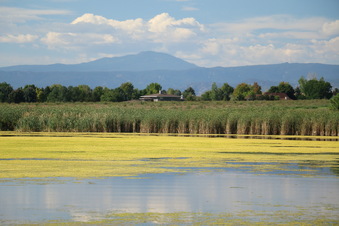 Enlarge photo 38