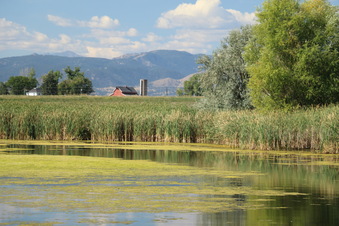 Enlarge photo 39
