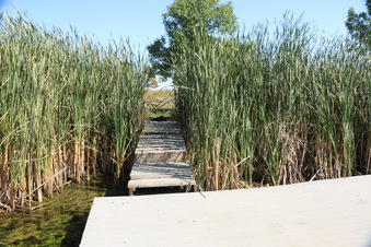 Enlarge photo 40