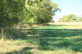 Enlarge photo 44
