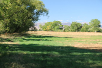Enlarge photo 45
