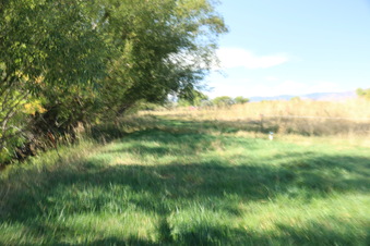 Enlarge photo 46
