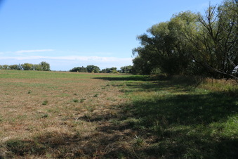Enlarge photo 48