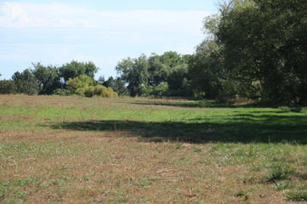 Enlarge photo 49