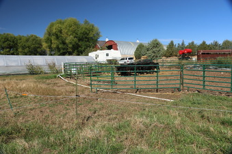 Enlarge photo 51