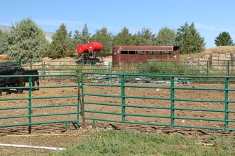 Enlarge photo 53