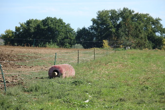 Enlarge photo 57