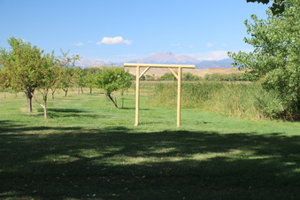Enlarge photo 59
