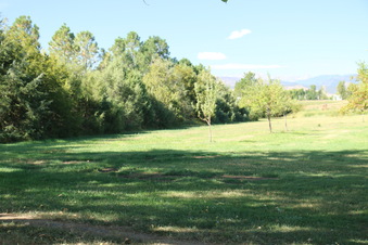 Enlarge photo 63