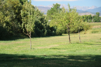 Enlarge photo 64