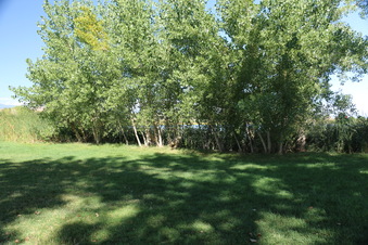 Enlarge photo 65