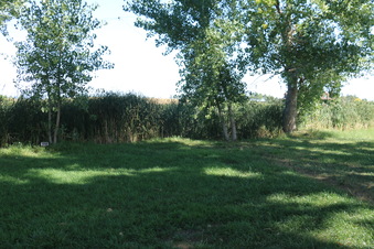 Enlarge photo 66