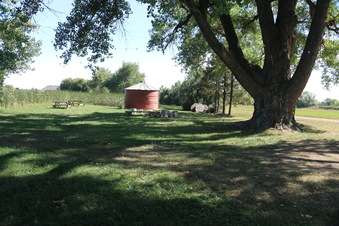 Enlarge photo 67