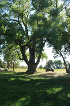 Enlarge photo 70