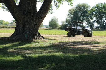 Enlarge photo 71