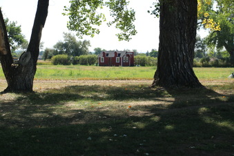 Enlarge photo 73