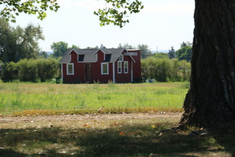 Enlarge photo 74
