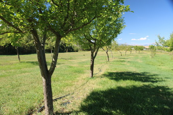 Enlarge photo 75