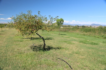 Enlarge photo 78