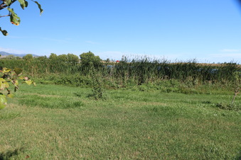 Enlarge photo 79