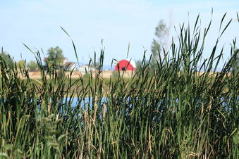 Enlarge photo 80