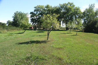 Enlarge photo 81