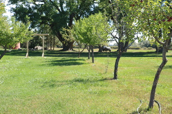 Enlarge photo 82