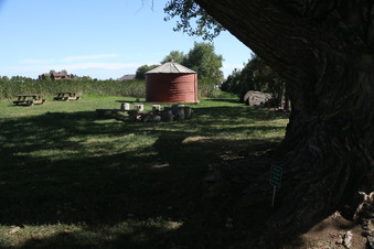Enlarge photo 84