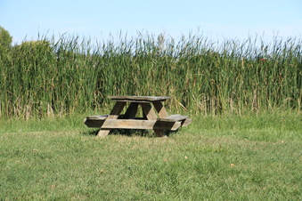 Enlarge photo 89