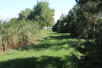 Enlarge photo 91