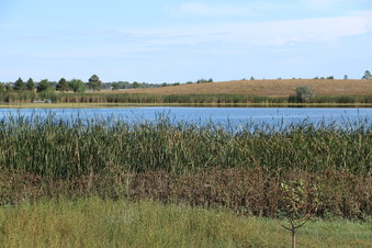 Enlarge photo 98