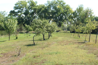 Enlarge photo 102